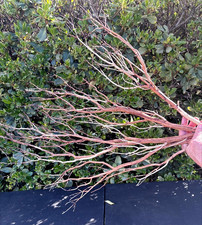 Aquarium Fish Tank Terrarium Aquascape Manzanita Branch 24" 3 Pieces