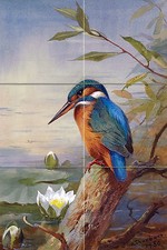 Kingfisher in Water Tile Mural Kitchen Bathroom Wall Backsplash 8.5x12.75