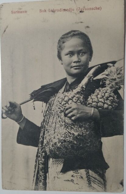 c1910 Bok Lokrodimedjo (Javaansche) Suriname PC Javanese Boy