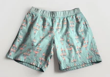 Chubbies Schwort Large 5.5" Sweat Shorts Pull On Green Fleece Lounge *String