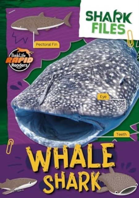 Whale Shark by Robin Twiddy (Paperback Book) - Image 4