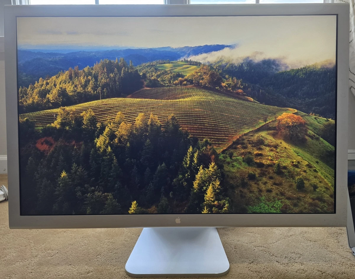 Apple Cinema Display 30 for sale | eBay