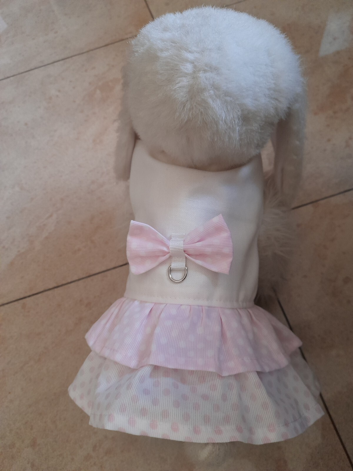 accessori per cani piccoli
