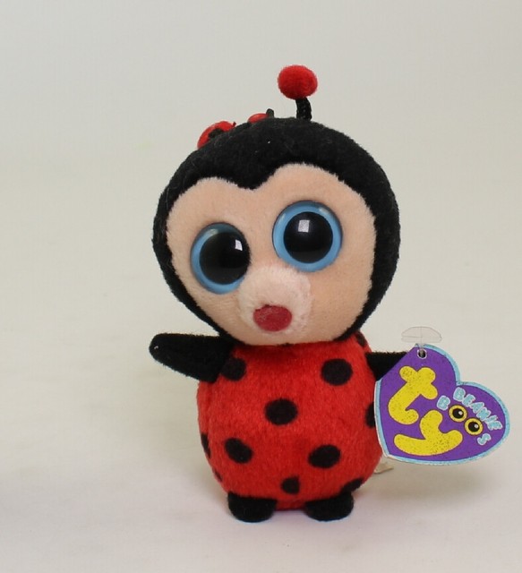 beanie boos ladybug