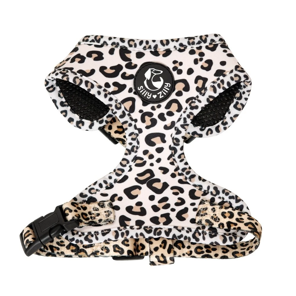 Dog Harness & leash matching set