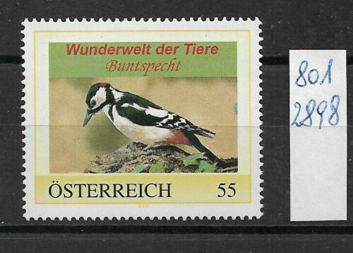 Österreich PM Marke Wunderwelt der Tiere Vogel Buntspecht 8012898** - Photo 1/1