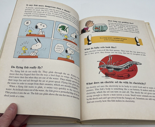 Vintage Charlie Brown's Super Book Of Questions and Answers - Hardcover Misbound - Picture 6 of 8