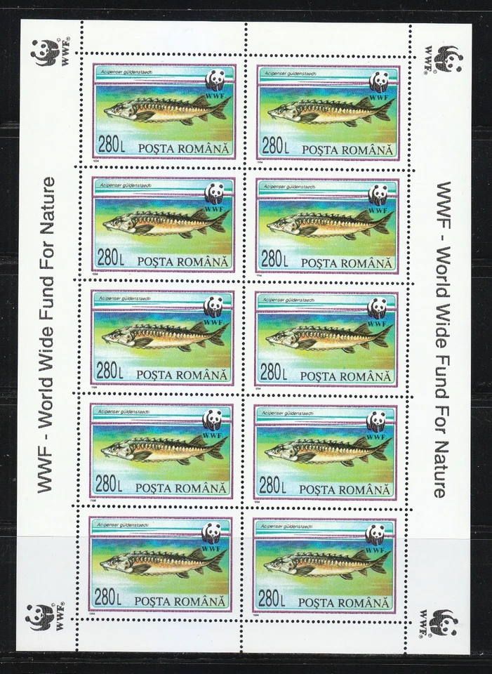 Rumanía 1994 MNH Sc 3954-3957 Mi 5034-5037 Esturión. Peces. WWF. Juego de KLB ** Foto 3 de 4