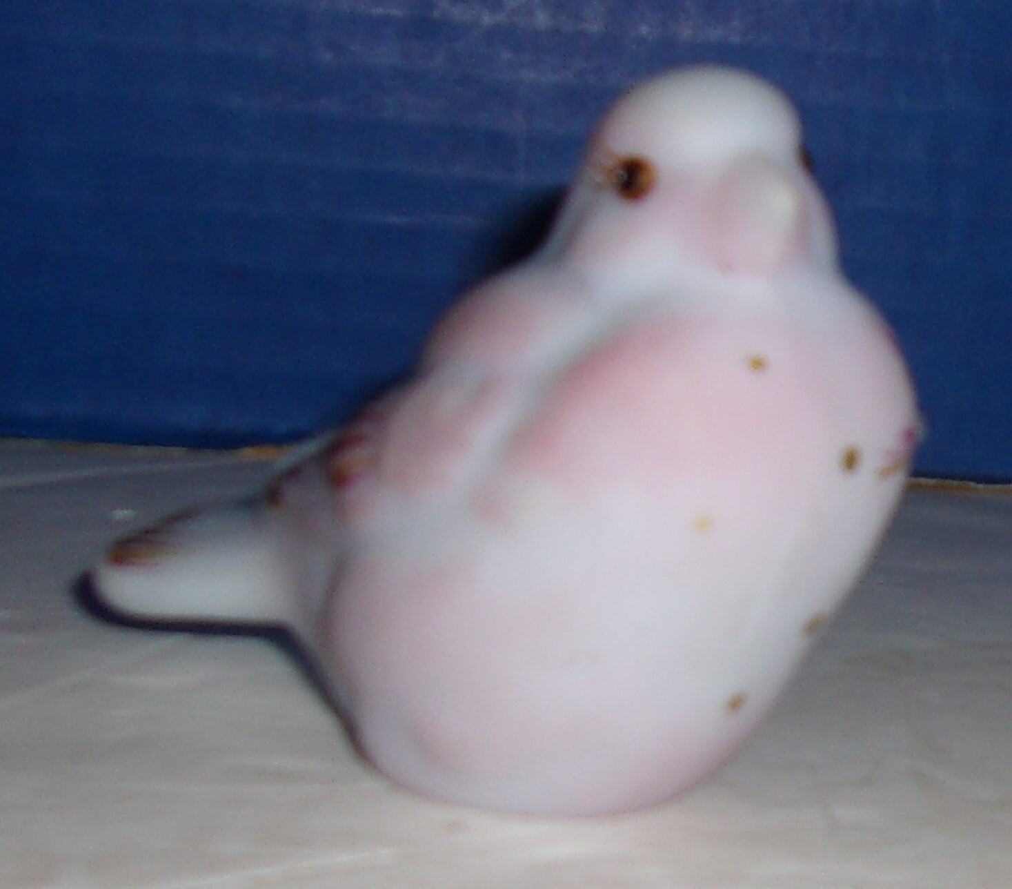 Bild 7 von 7
