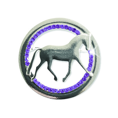 Equetech Dressur Reitstock Pin - Regionalfarben Gratis Karton *SALE* 6 Farben