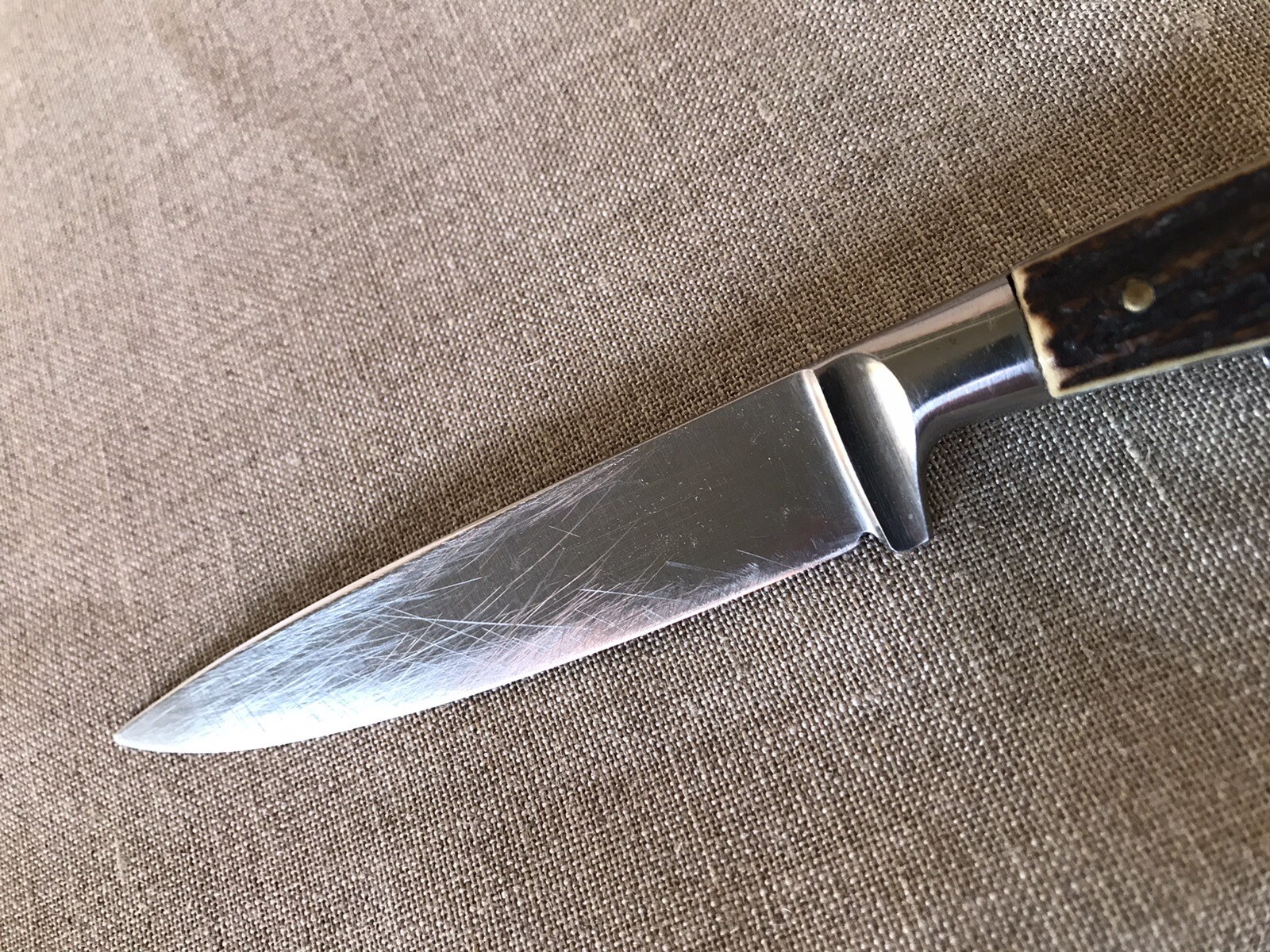 Vintage Gamekeepers Knife with fantastic Stag scales Fixed Blade