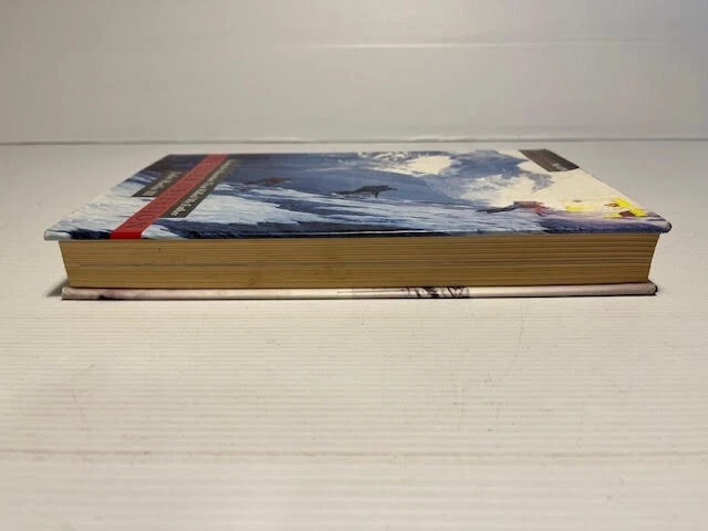 Picture 5 of 7