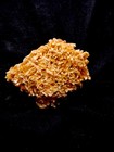 gypsum crystal from Poland — photo 3