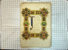 Original Old Antique Print Colour Letters Shapes Flowers Patterns