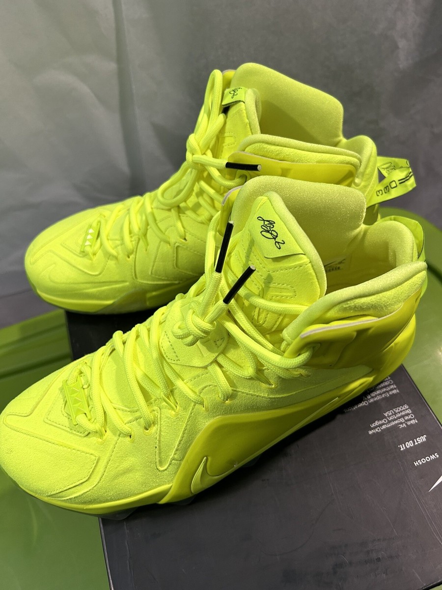 Nike Lebron XII EXT Tennis Ball Men's Basketball Shoes