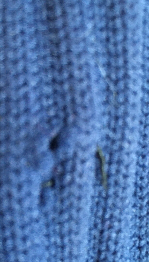Bild 7 von 7