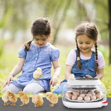 Incubatrice 24 uova incubatrice completamente automatica incubatrice pulcini NEW