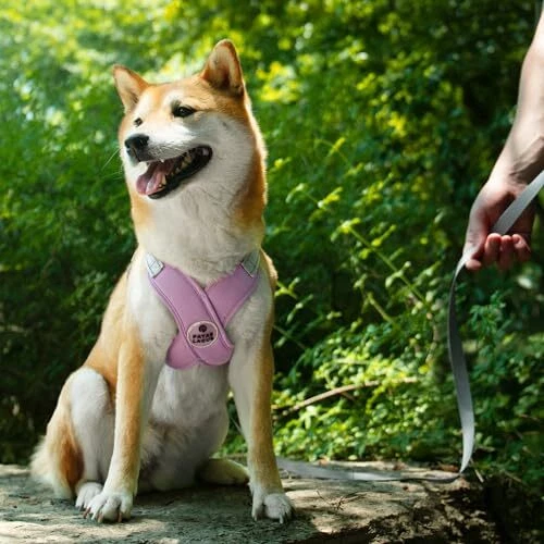 Dog Harness with Leash Set M (Neck 19.3-23.3'' Chest 22.5-25.6'') Purple