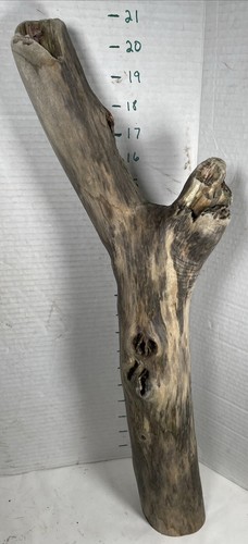 Driftwood Taxidermy Beach Mountain House Wedding Reception Centerpiece Terrarium