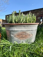 Vintage French Style Galvanised Metal Oval Dolly Tub Garden Bucket Planter Pot