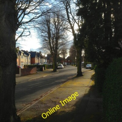 Foto 6x4 Mayfield Grove Long Eaton Linde gesäumt Sackgasse vor Norfol c2014