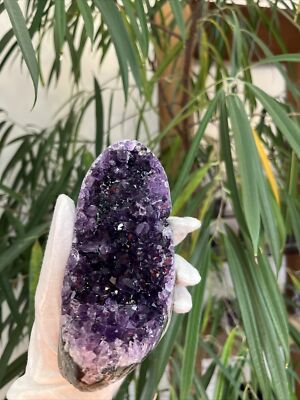 Hochqualitative Amethyst Druse AP42. 0,77 Kg