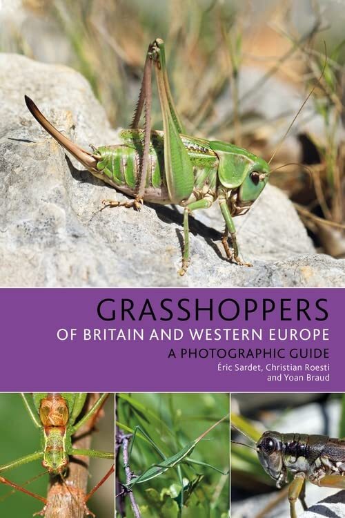 Grasshoppers of Britain and Western Europe: A Photographic Guide (Bloomsbury Nat