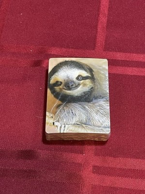 Cards Against Humanity Sloth Card