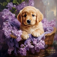 Dog Flowers Paint by Numbers for Adults Beginner, Paint by Number Kits on Canvas