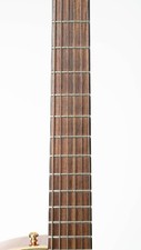 Eastman AR380CE John Pisano Signature Archtop 2021 Honeyburst
