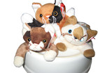 3 RETIRED TY BEANIE BABY CATS FROM 1996 & 1997 POUNCE 1997, CHIP 1996, SNIP 1996 — photo 1
