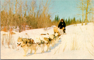 Postcard Ajax Ontario Canada Northlands RCMP Member with Inuit Dog Sled ...