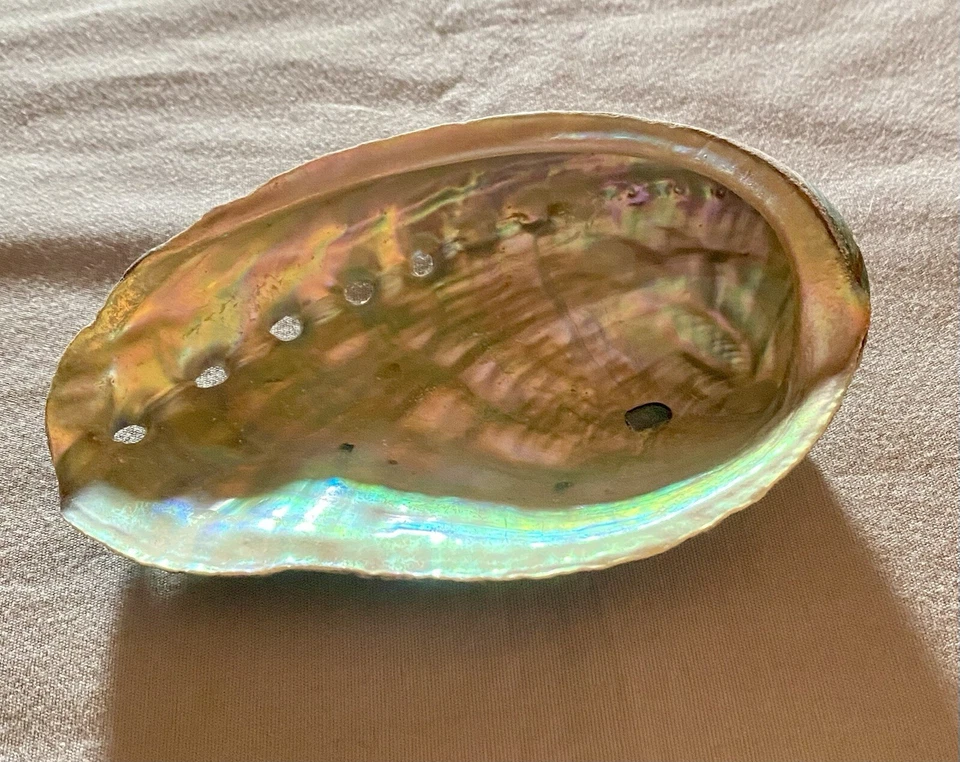 Quemador de incienso con cáscara de abulón 3,9 pulgadas ceniza mágica Wicca joyería decoración del hogar Foto 2 de 4