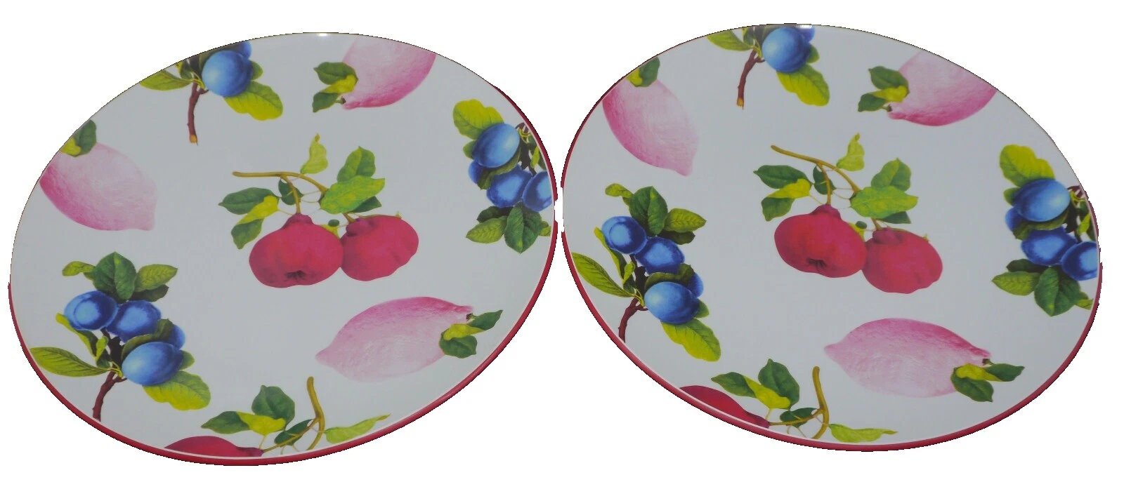 Cynthia Rowley Melamine Dinnerware Plates