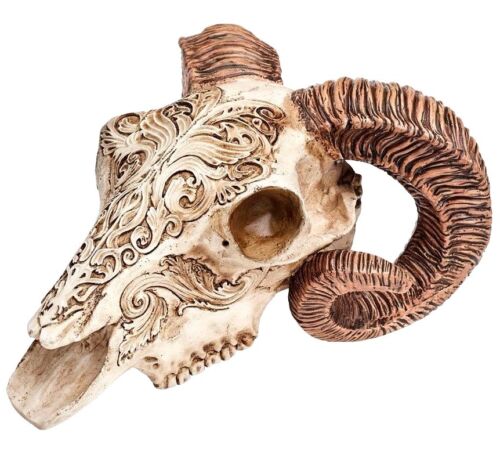 Scrimshaw Ram Horns Skull Ammon Carved Resin Statue Decor V53 Alchemy Gothic - Picture 1 of 3