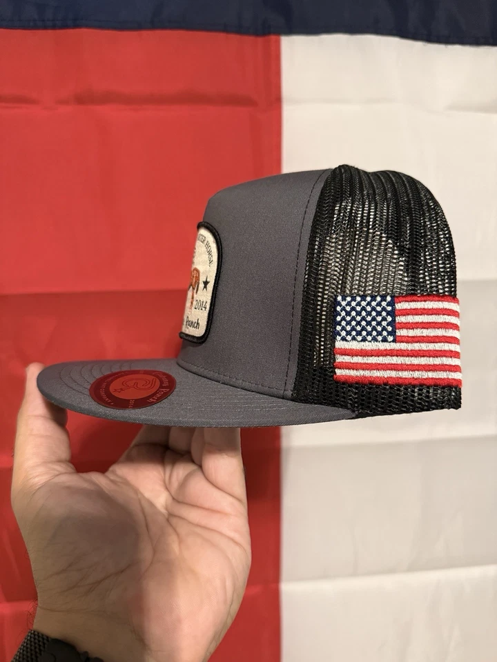 Cap Cabana’s Ranch - American Quarter 马 — 第 2/3 张图片