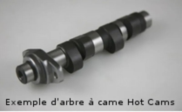 HOT Cams Nockenwelle - Stage 2 FüR Polaris Sportsman 400 2008-13-image