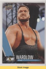2021 Upper Deck AEW All Elite Wrestling Finisher Wardlow #49 READ 0l4c