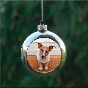 personalised dog balls