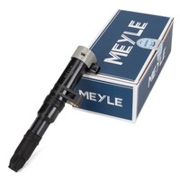 Meyle ZüNdspule FüR Renault Clio 2 3 Laguna 1-3 Megane 1-3 Scenic 1-3 1.4-2.0