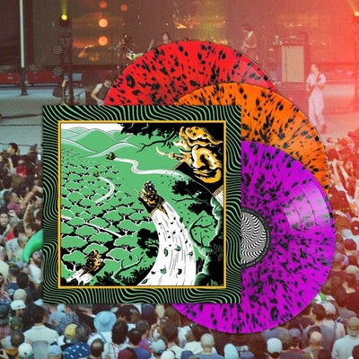 King Gizzard And The Lizard Wizard - Live At Forest Hills Stadium '25 (COLOR 3xV