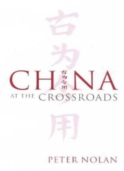 China at the Crossroads,Peter Nolan
