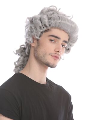 Perücke Herren Karneval Barock Renaissance Matt Grau Zöpfe Edelmann Adliger Lord