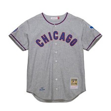 Chicago Cubs Ron Santo #10 Mitchell & Ness Gray 1968 Authentic MLB Jersey