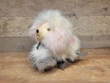 Vintage 1950s Fluffy Playful Poodle Dog Tin Wind Up Toy Occupied Japan Works