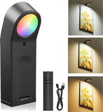 Picture Lights for Wall: Compact Rechargeable 4000mAh Art Light