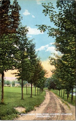 Postcard Hotel Rexmere Stamford Maple Drive Dirt Road Catskills New York D50