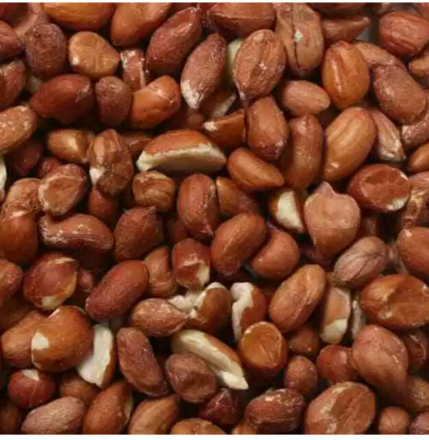 Croston Corn Mill Premium Grade Peanuts for Wild Birds 25kg for sale