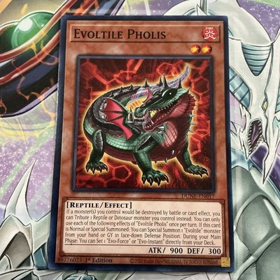Evolite Pholis DUNE-EN017 Yu-Gi-Oh! 1st Edition M/NM 