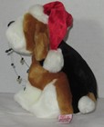 Bild 9 von 20